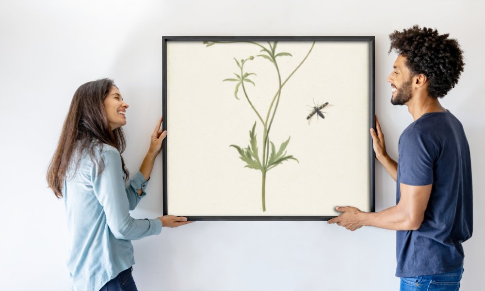 Pieter Withoos (possibly)