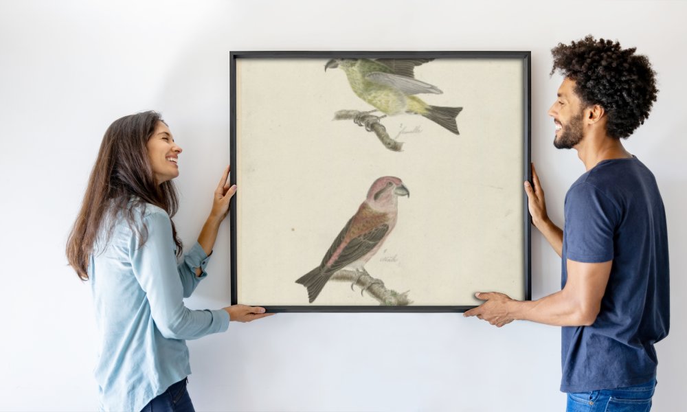 Christiaan Sepp (possibly)