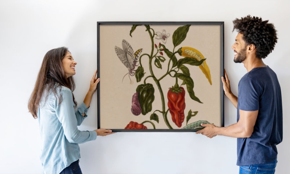 Maria Sibylla Graff (after) Merian