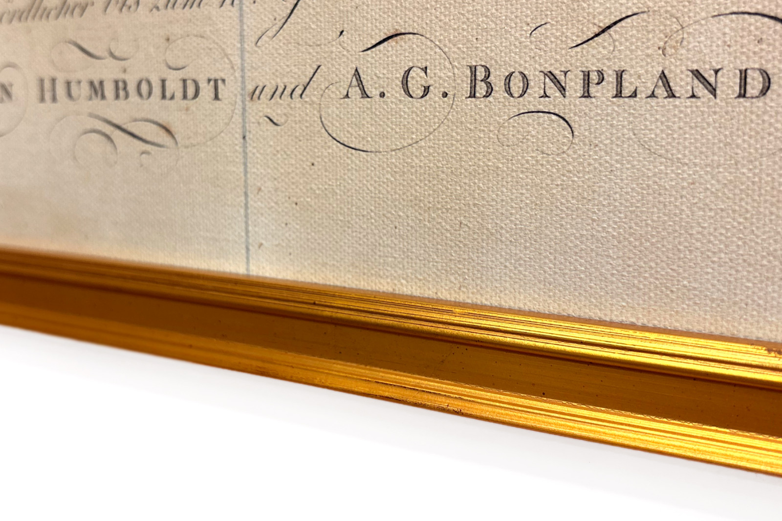 Geografía de las plantas en los países tropicales, un estudio de los Andes, dibujada por Schoenberger y Turpin, impresa por Langlois, París - Baron Friedrich Alexander von Humboldt