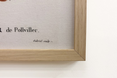 Peral de Pollviller - en 'Nouveau Duhamel du Monceau ou traité des arbres et arbustos que le culture en France', figuras según los dibujos de P.J. Redoute y P. Bessa, París