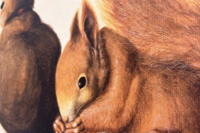 Ardillas, 1512