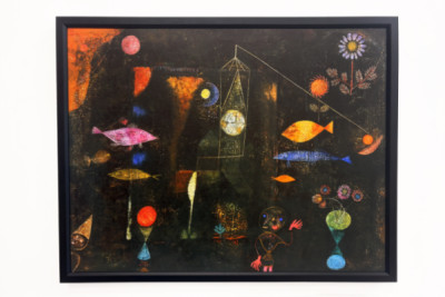 Magia de los peces