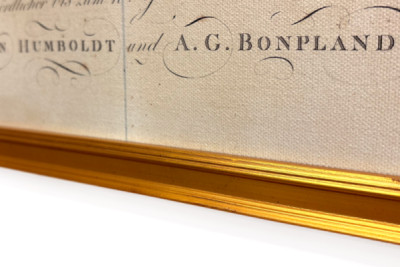 Geografía de las plantas en los países tropicales, un estudio de los Andes, dibujada por Schoenberger y Turpin, impresa por Langlois, París - Baron Friedrich Alexander von Humboldt