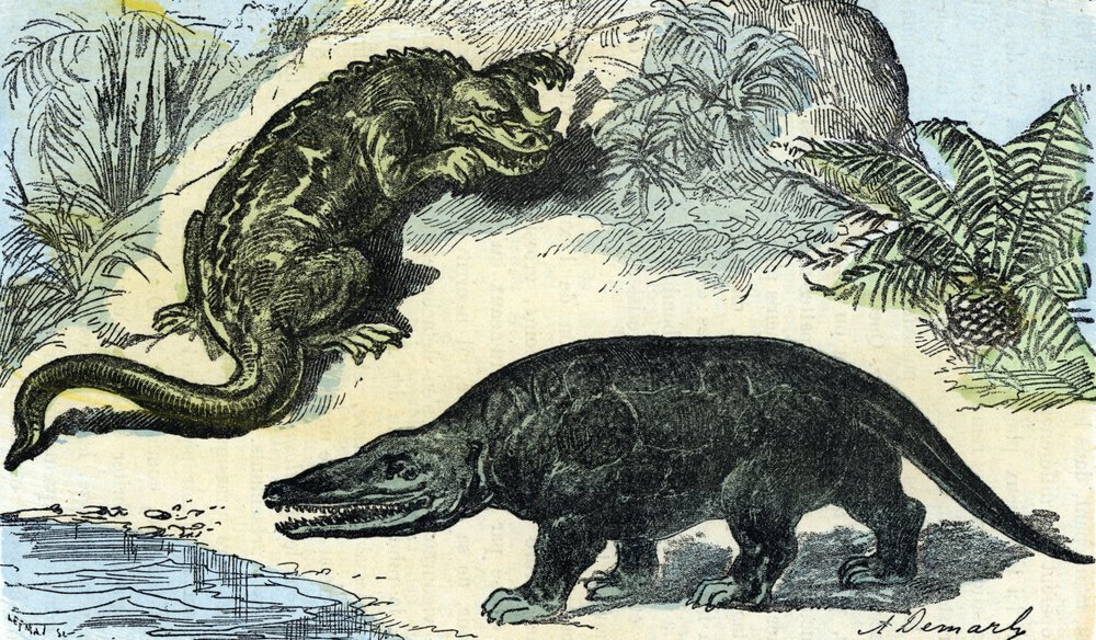 Prehistoria: representación de un iguanodonte y un megalosaurio del periodo cretácico de A. Demarle