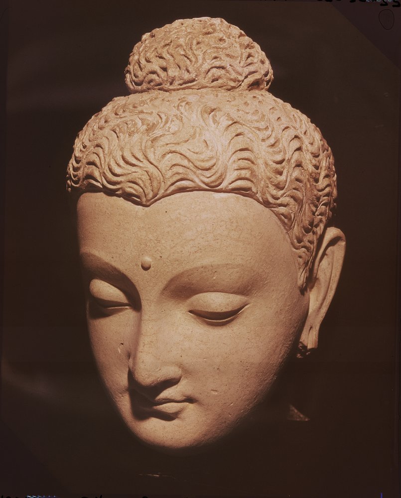 Cabeza de Buda, estilo greco-budista, de Hadda (estuco) de Afghan School