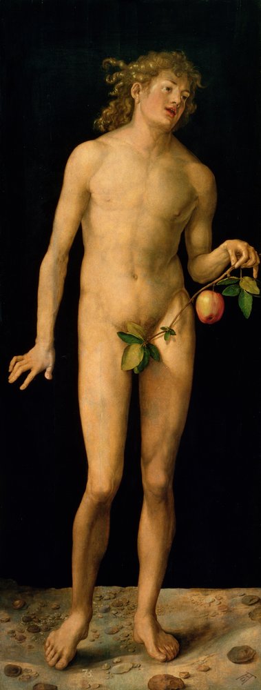 Adán, 1507 de Albrecht Dürer