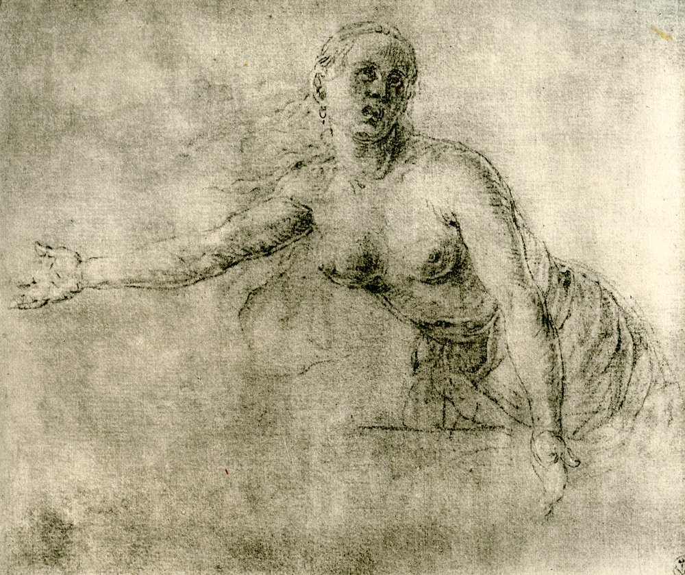 Un estudio, 1913 de Albrecht Dürer