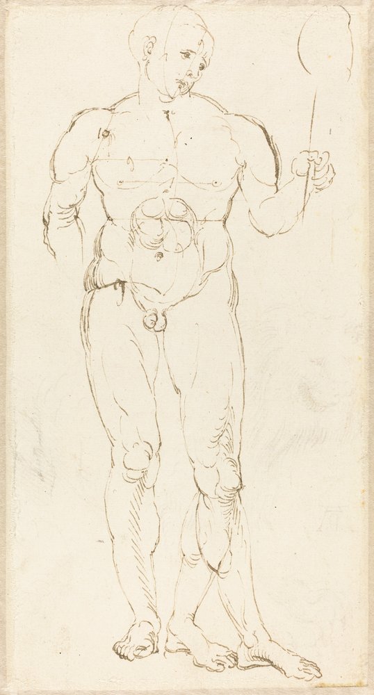 Desnudo Masculino Sosteniendo un Espejo [recto] de Albrecht Dürer