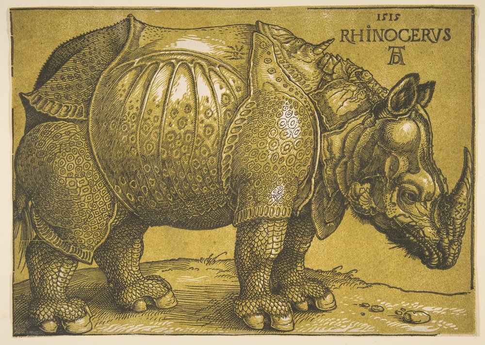 El Rinoceronte de Albrecht Dürer