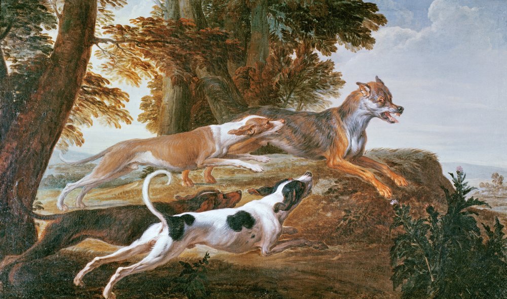 La caza del lobo, c.1720 de Alexandre-Francois Desportes