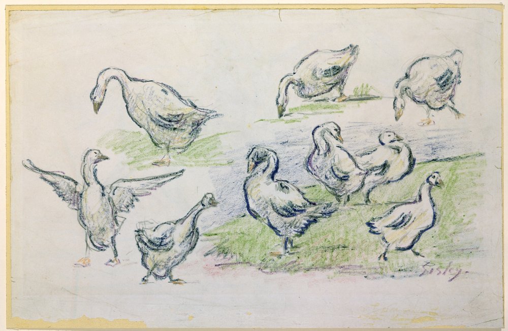 Patos de Alfred Sisley