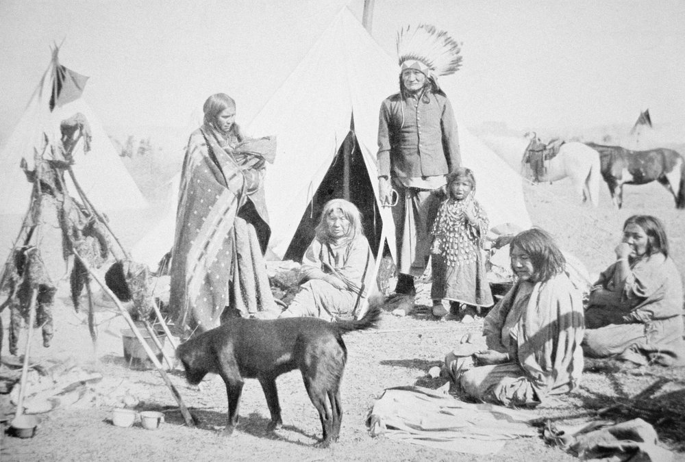 La Reserva Sioux en Pine Ridge, Dakota del Sur, c.1890 de American Photographer