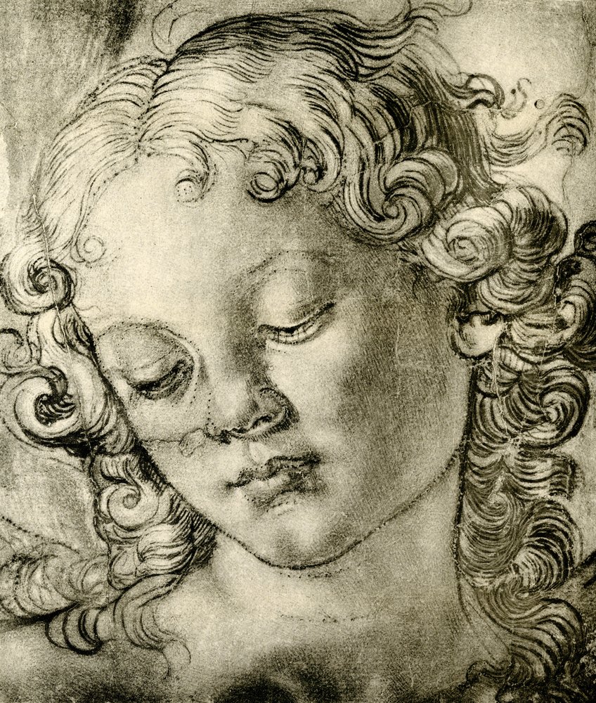 Cabeza de ángel de Andrea del Verrocchio