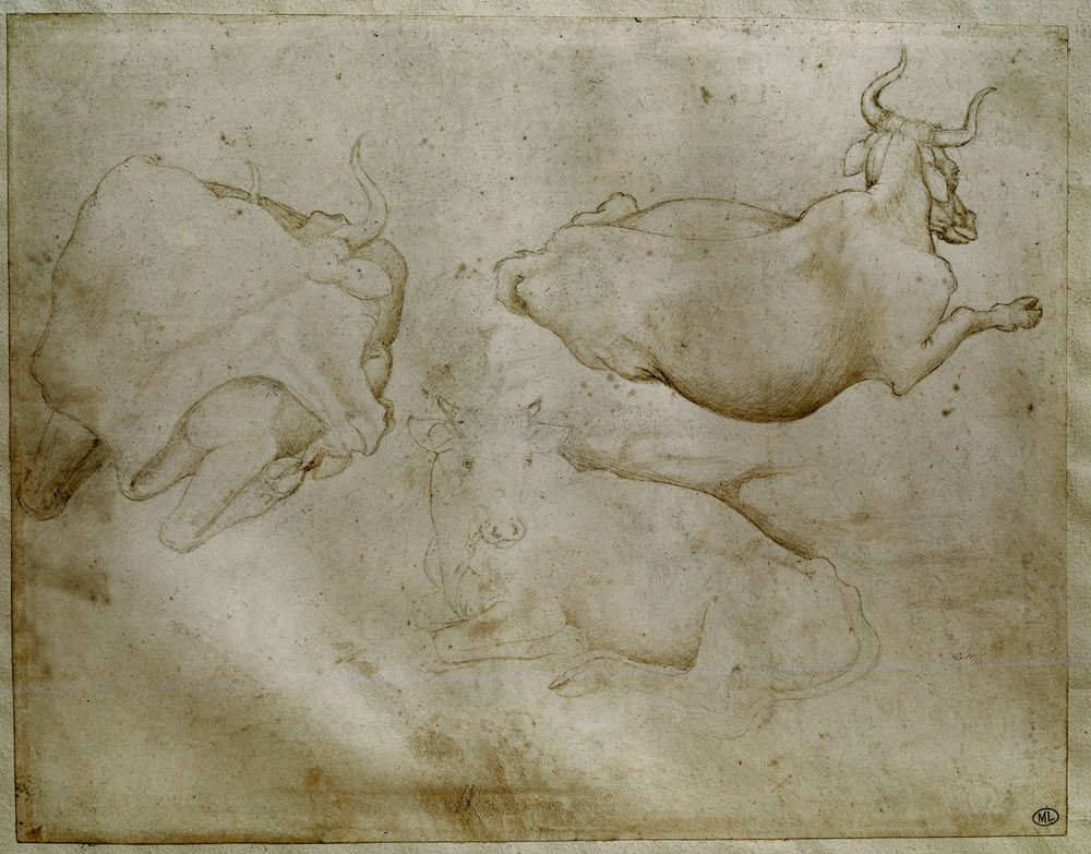 Dos vacas y un enebro. Dibujo de Antonio di Puccio Pisano, conocido como Pisanello (1395-1455). Louvre, Gabinete de medallas de Antonio Pisanello
