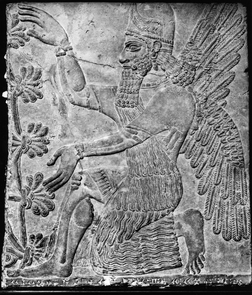 Genio alado adorando el árbol sagrado, del Palacio de Nimrud de Assyrian