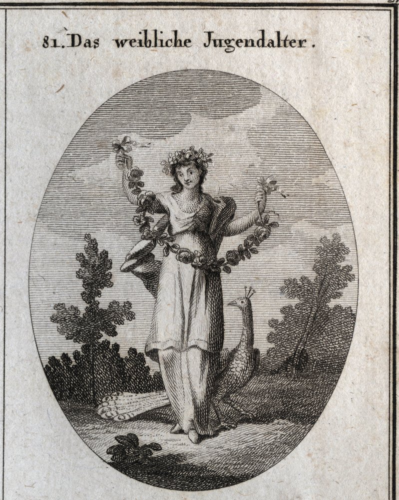 Alegoría de la adolescencia (chica adolescente), representada por una joven con una corona y una guirnalda de flores para denotar feliz felicidad. El pavo real representa el amor por el adorno. Su pie está colocado sobre un reloj de arena. Grabado en de Austrian School