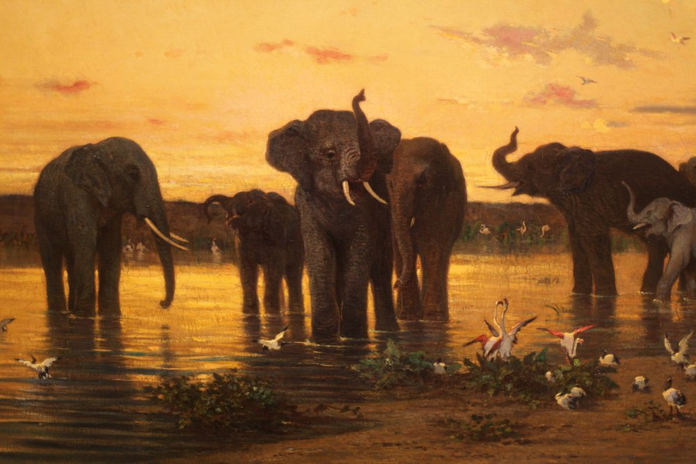 Elefantes africanos de Charles-Émile de Tournemine