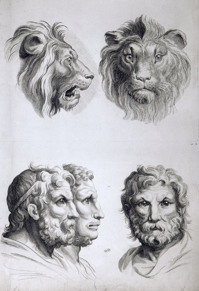Semejanzas entre la cabeza de un león y la de un hombre, de «Livre de portraiture pour ceux qui commencent à dessiner», de Le Brun de Charles Le Brun