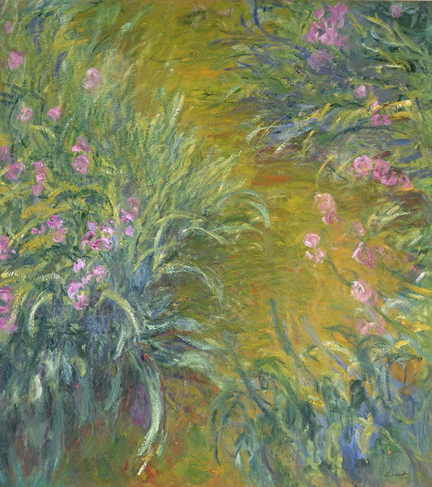Iris de Claude Monet