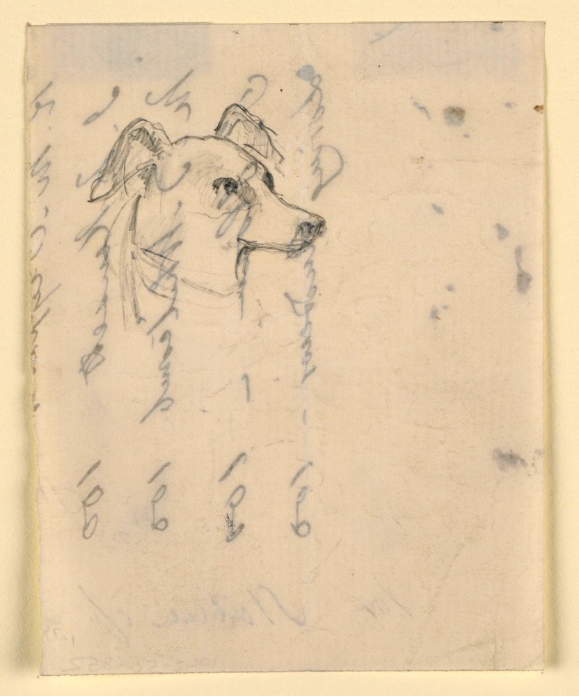 Dibujo, Cabeza de perro, probablemente Milo (un Pointer), ca. 1862 de Daniel Huntington