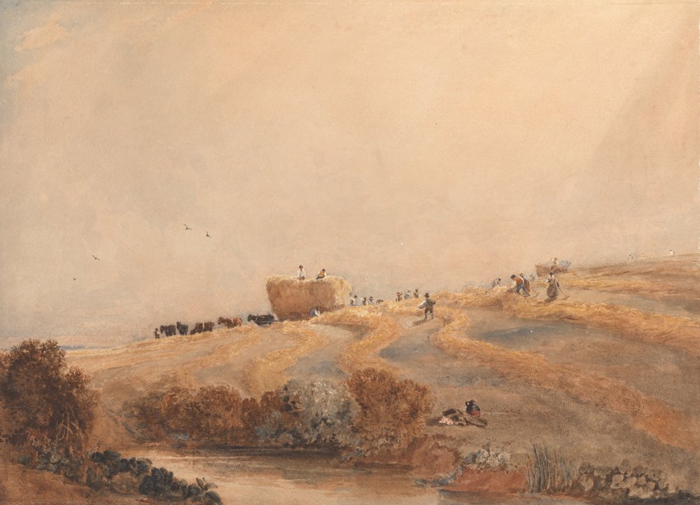 Recolección de heno de David Cox
