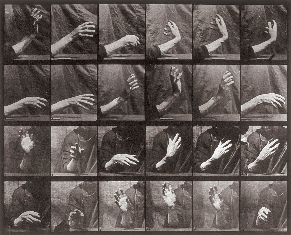 Secuencia con movimiento de mano, placa 535 de Animal Locomotion de Eadweard Muybridge