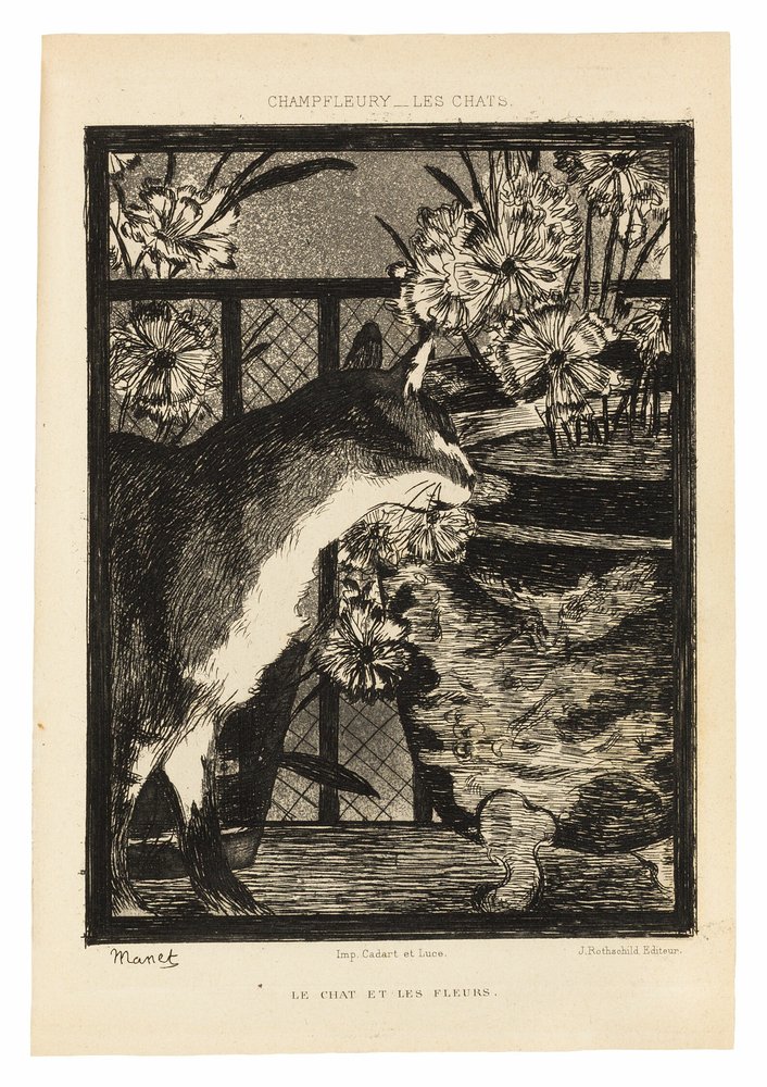 Gatos de Édouard Manet