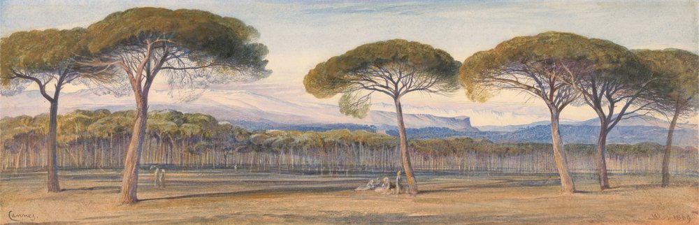 Una vista de los bosques de pinos sobre Cannes de Edward Lear