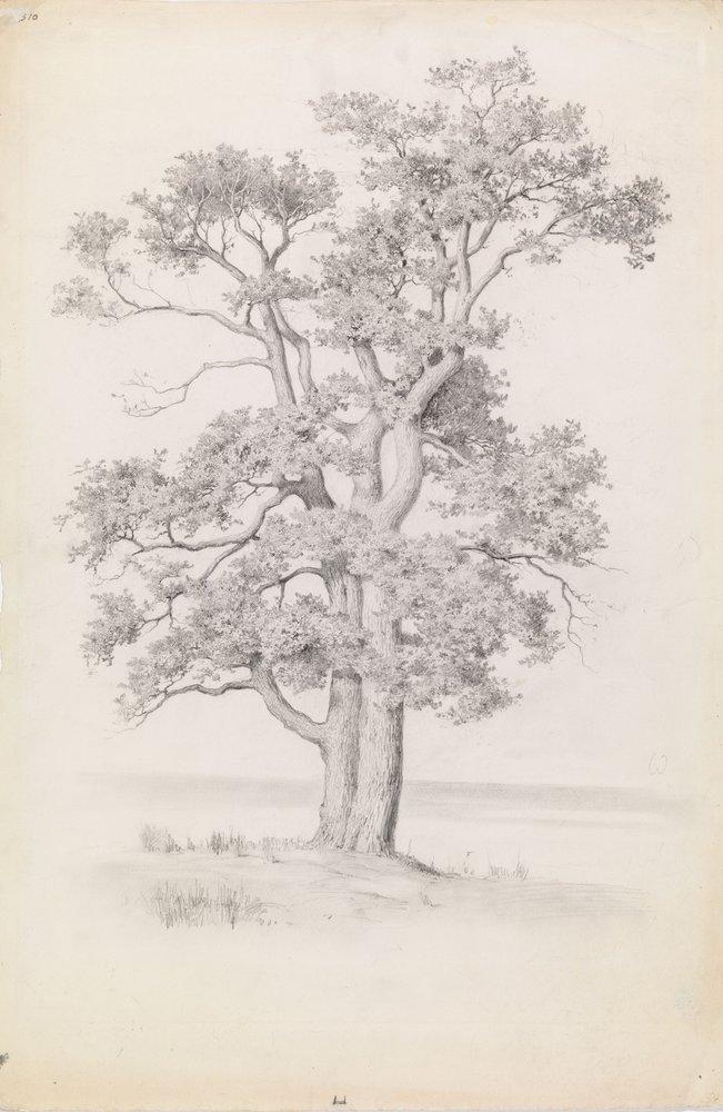 Roble de Eero Järnefelt
