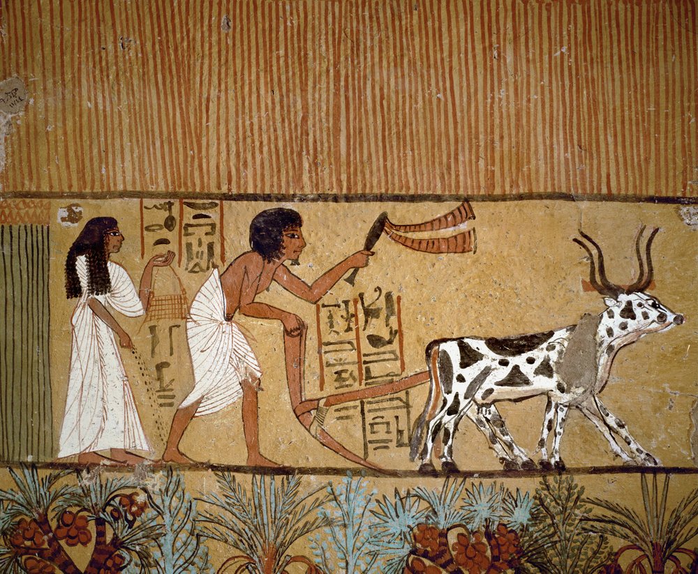 Pareja de campesinos arando de Egyptian 18th Dynasty