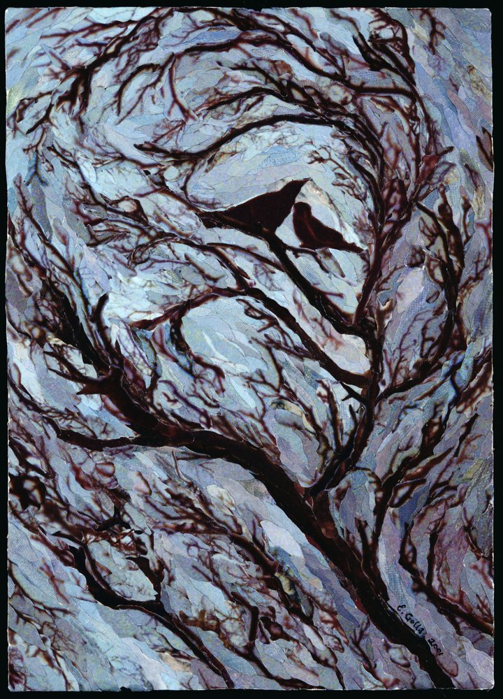 Día tormentoso, Parque de Greenwich, 2001 de Ellen Golla