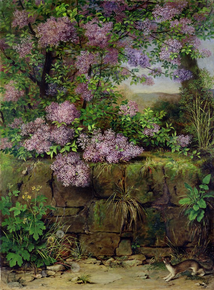 Lilas en flor frente a una pared | Emilie von der Embde