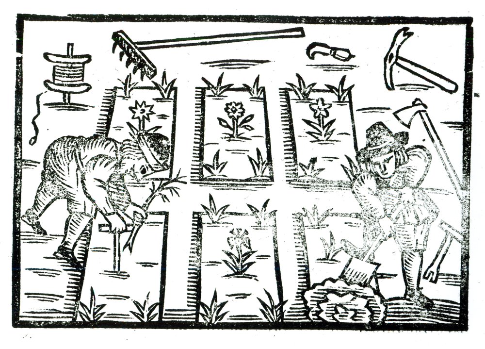 Ilustración de un libro sobre jardinería de English School