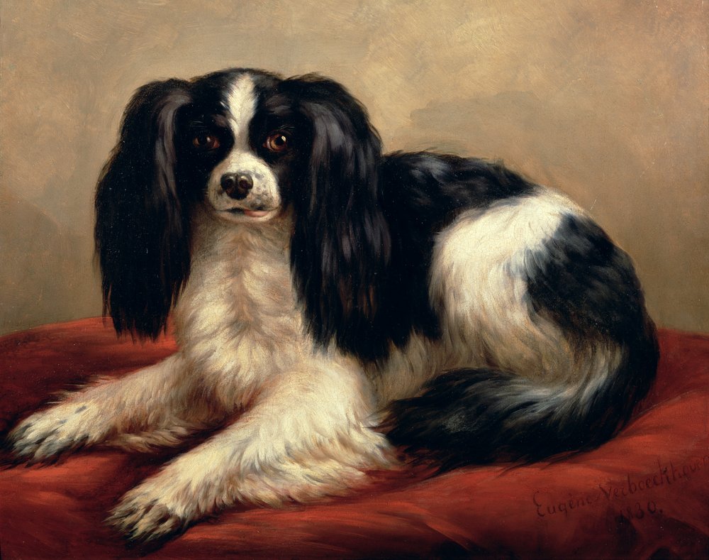 Un spaniel King Charles sentado sobre un cojín rojo de Eugene Joseph Verboeckhoven
