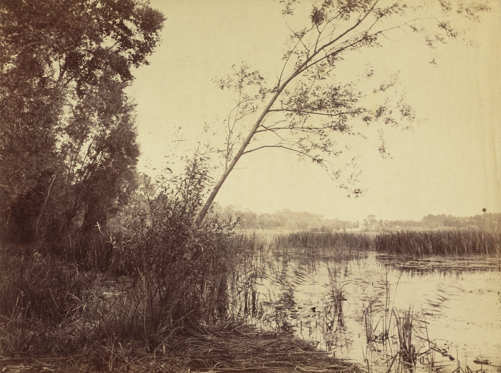 Marais de Fampoux, principios de 1860 de Eugène Cuvelier