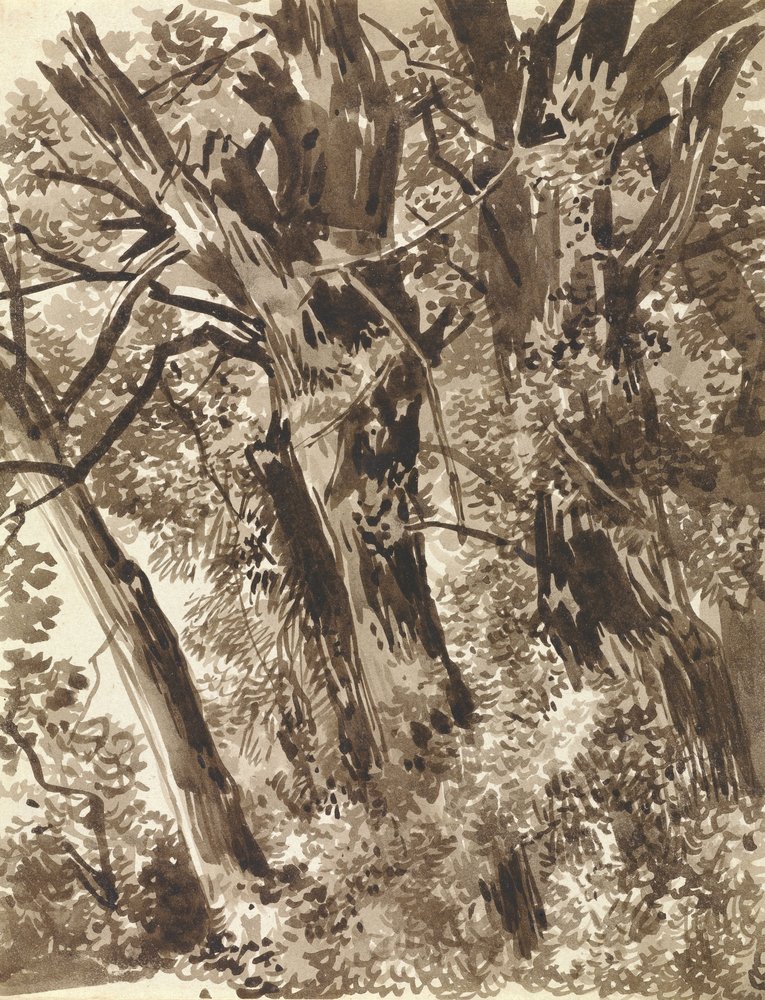 Troncos y ramas de Franz Innocenz Kobell