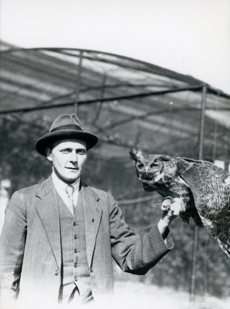 Un búho real sostenido por J. Bailey, supervisor de aves en el zoológico de Londres durante treinta años. Junio de 1920 de Frederick William Bond