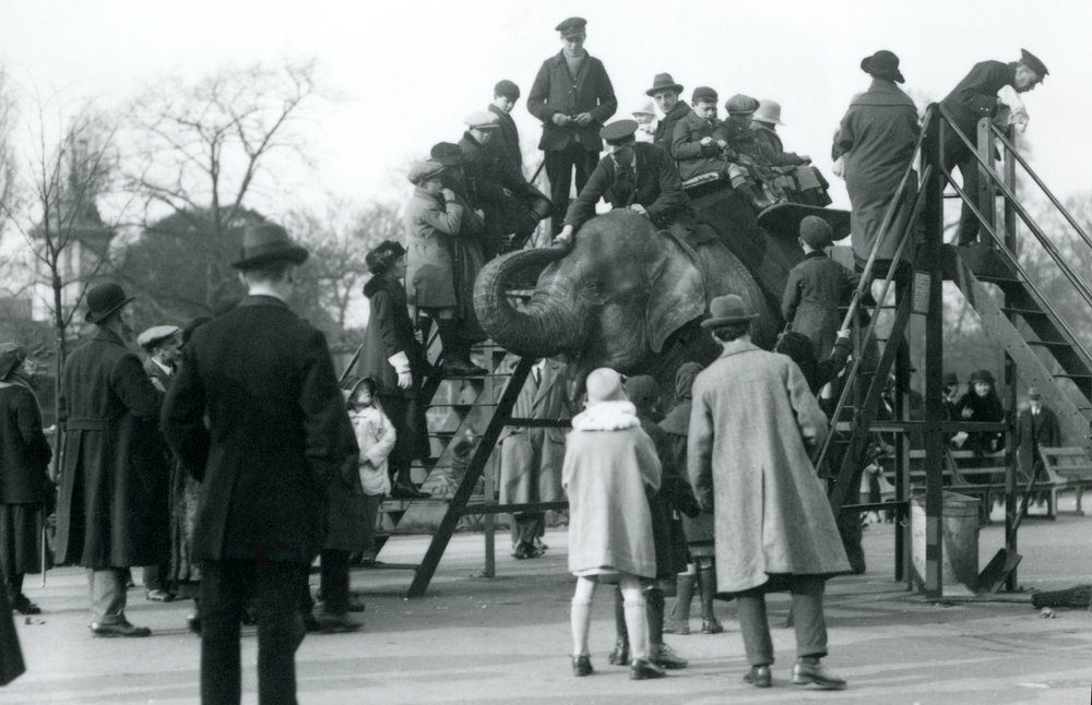 Multitudes observando a los visitantes embarcarse en un paseo en elefante, supervisados por el cuidador Arthur Church, abril de 1923 de Frederick William Bond