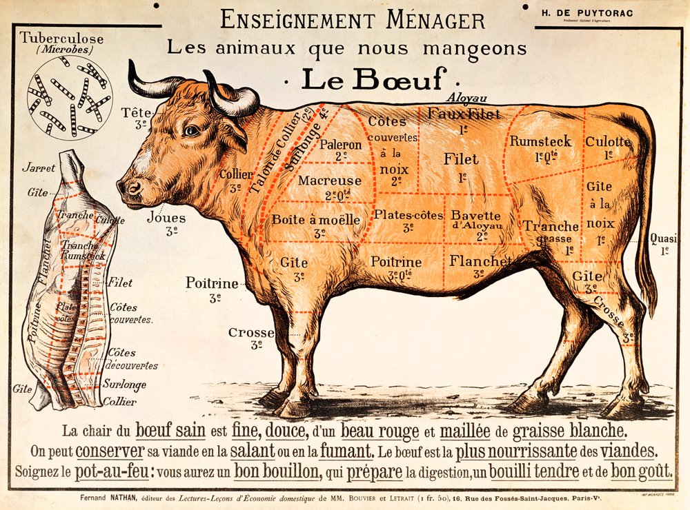 Carne de res: diagrama que muestra los diferentes cortes de carne de French School