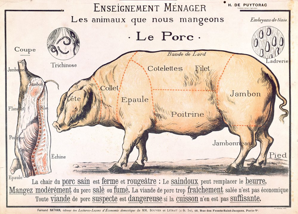 Cortes de cerdo, ilustración de un manual de ciencia doméstica francesa por H. de Puytorac, publicado por Editions Fernand Nathan, finales del siglo XIX de French School