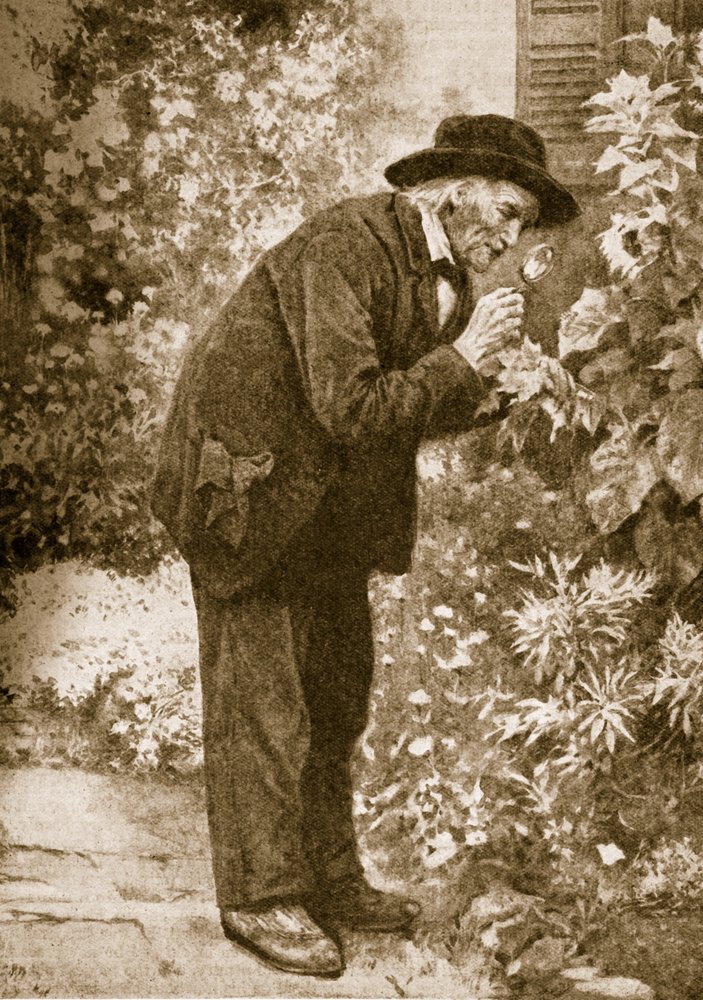 Jean-Henri Fabre observando insectos | French School