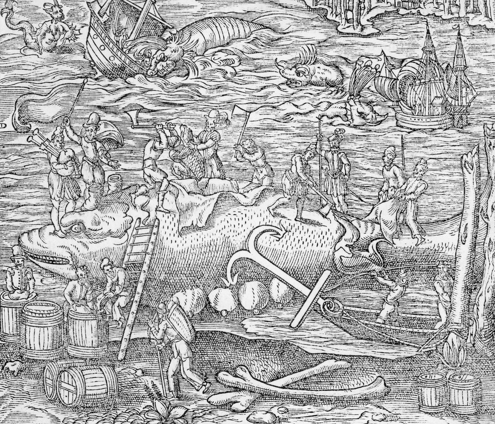 La pesca de la ballena, Ilustración de "Cosmographie Universelle", de André de Thevet de French School