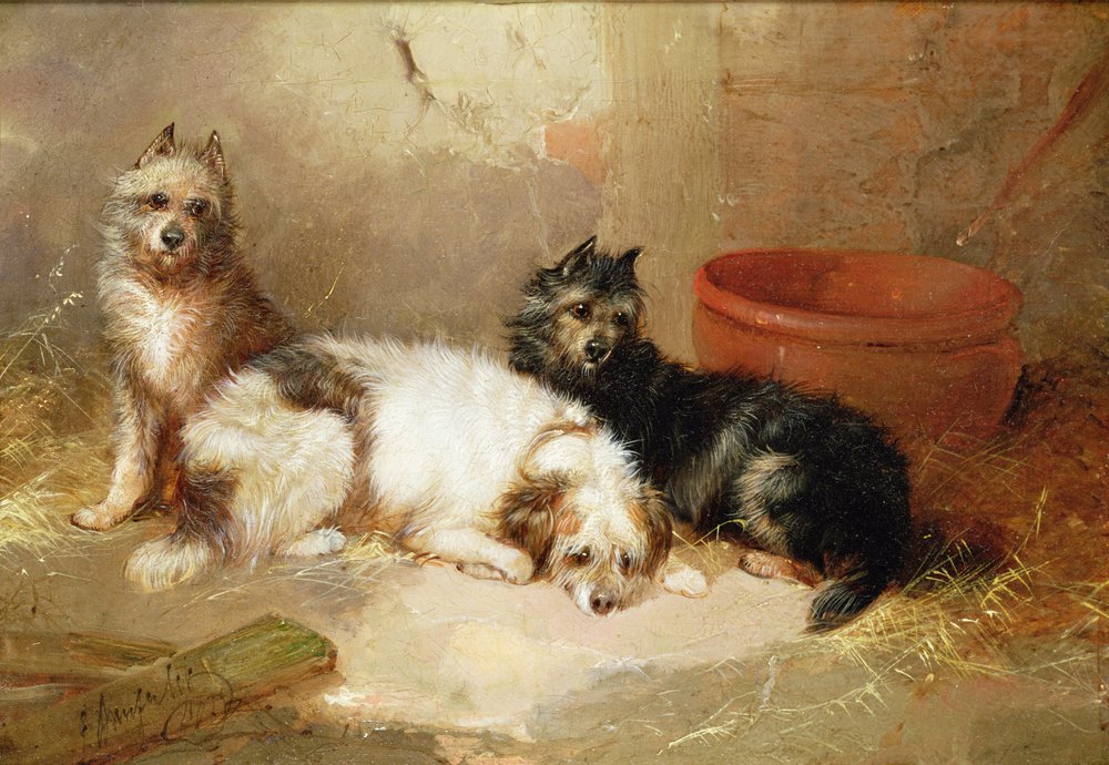 Tres Terriers de George Armfield