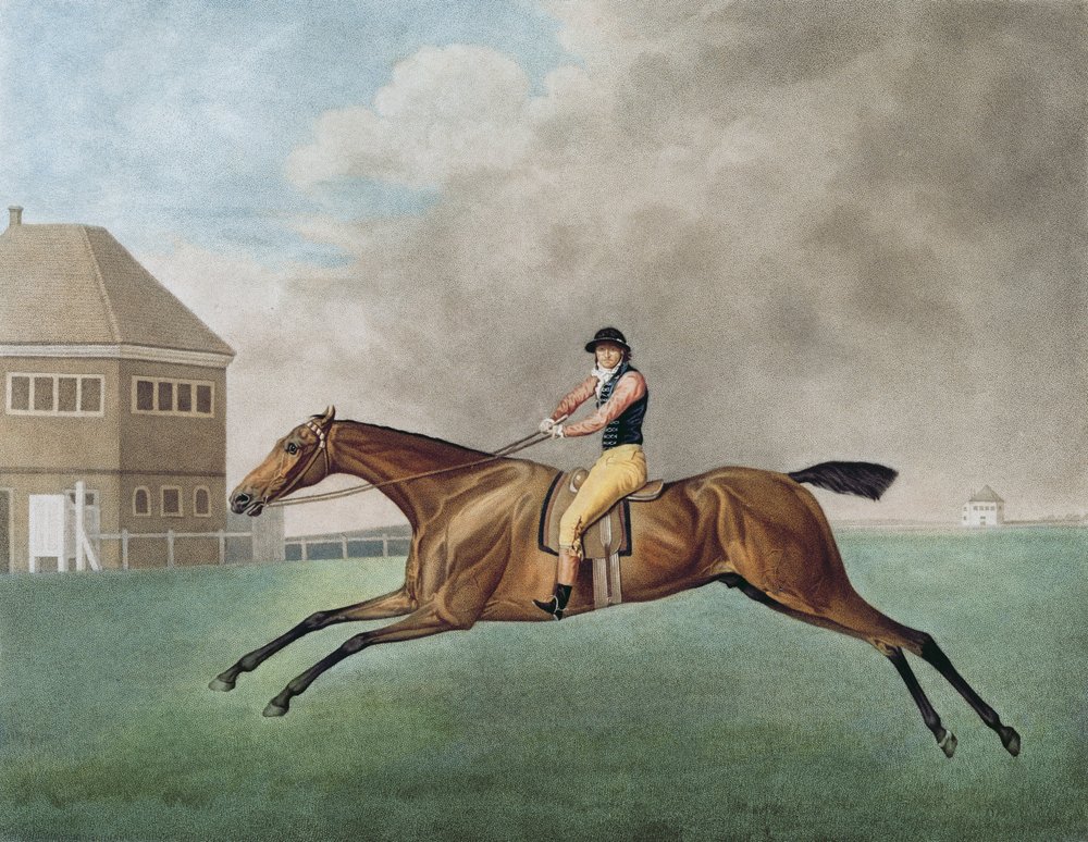 Baronet | George Stubbs | Impresión de arte