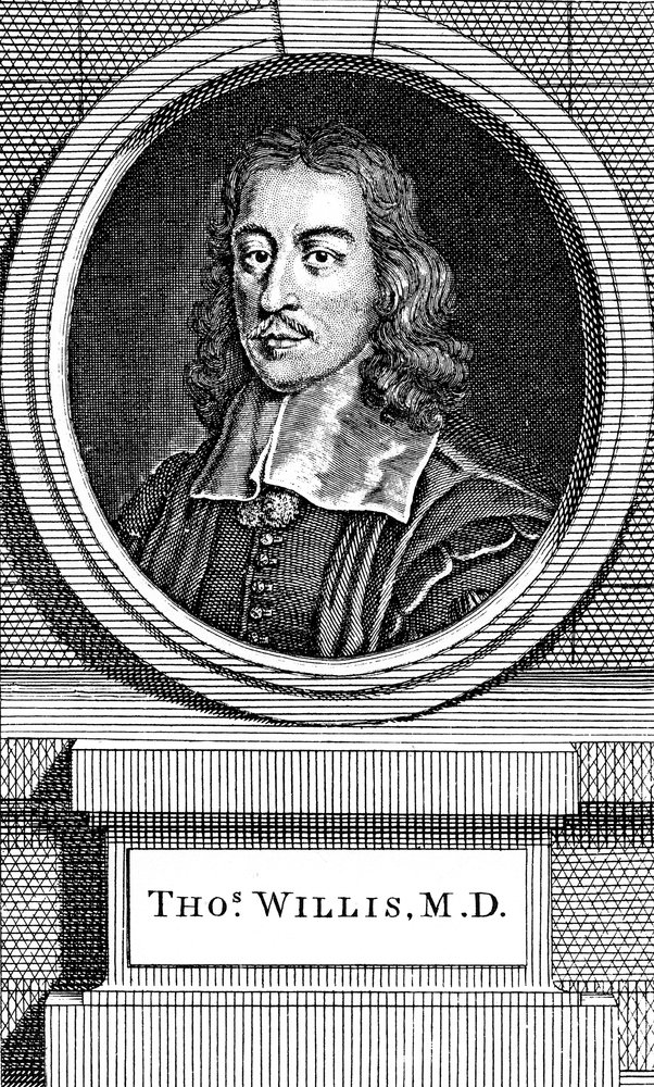 Thomas Willis, médico inglés del siglo XVII, 1742 de George Vertue