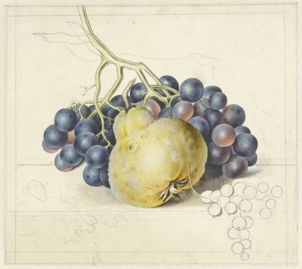 Bodegón con uvas y una pera | Impresión de arte
