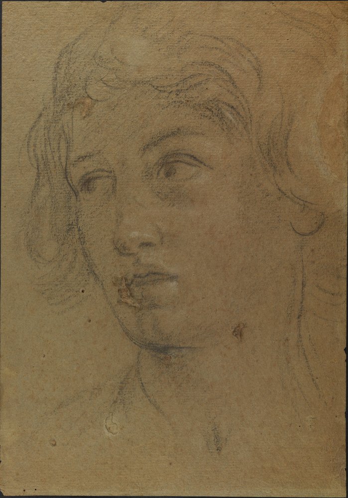 Cabeza de un joven de Giovanni Andrea Sirani