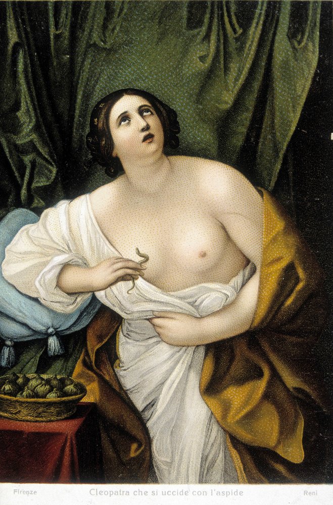 El suicidio de Cleopatra por la mordedura de un áspid (serpiente). Según Guido Reni. de Guido (after) Reni