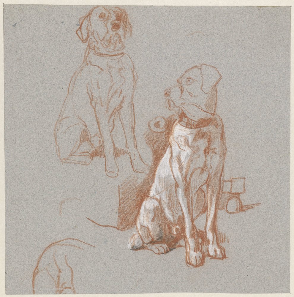 Dos estudios de un perro sentado de Guillaume Anne van der Brugghen